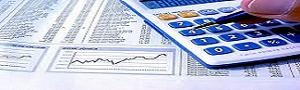 Servicios de Economista